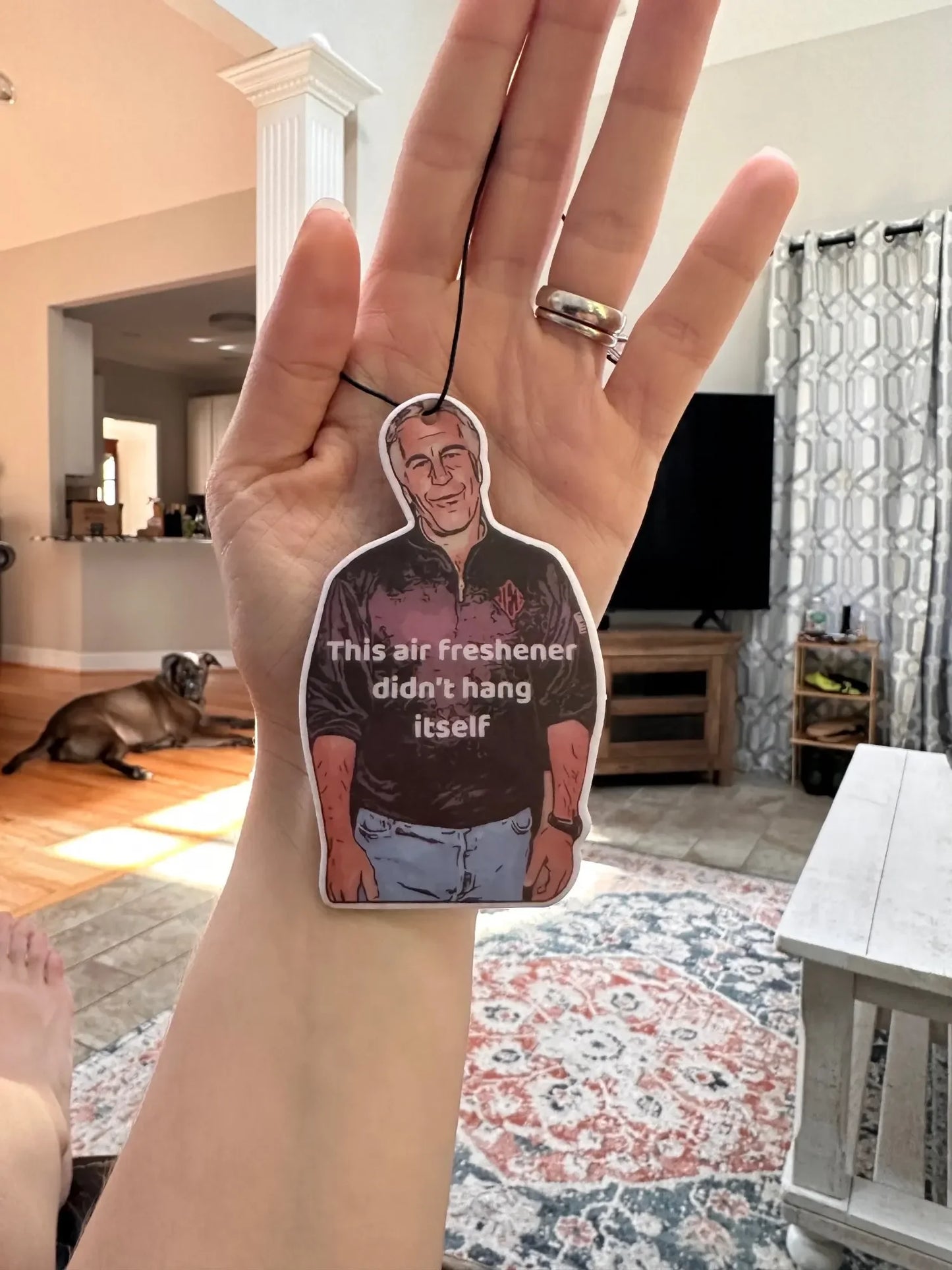 1PC Jeffrey Epstein Car Air Freshener Sick Humor Funny Dark Rear View Mirror Accessories Car Perfume Meme Pendant Hanging Charm