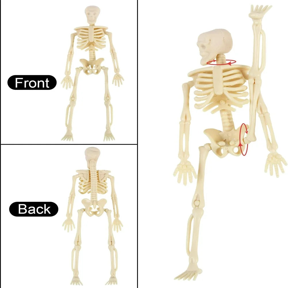 6/12PCS Mini Skeleton Figurines Small Skeletons Halloween Decorations for Craft Haunted House Accessories Party Favors 6 Inch